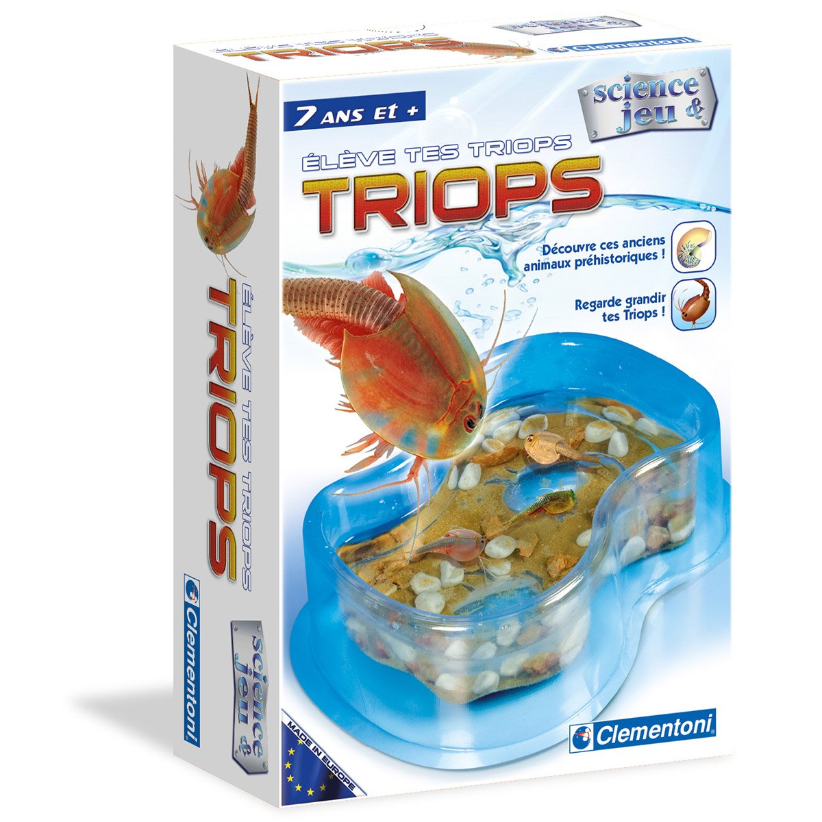 Triops (crustacé préhistorique)