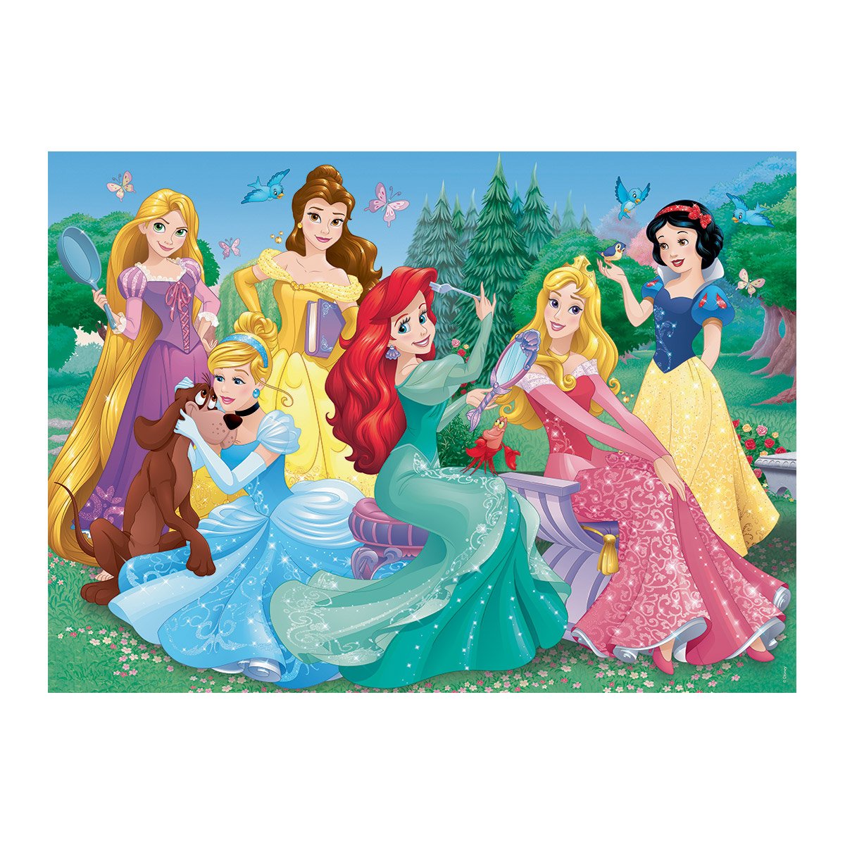 Puzzle 45 pièces - Rencontre avec les princesses Disney