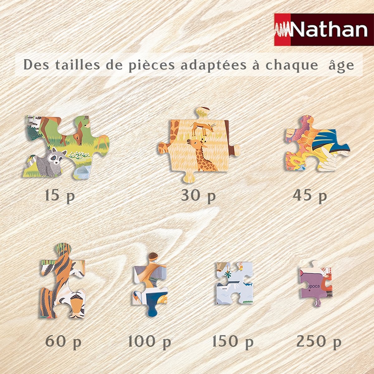 Nathan - Puzzle Enfant - 45 pièces - Rencontre avec les princesses Disney -  Fille ou garçon dès 5 ans - Puzzle de qualité supérieure - Carton épais et  résistant - Princesses - 86537 : : Jeux et Jouets