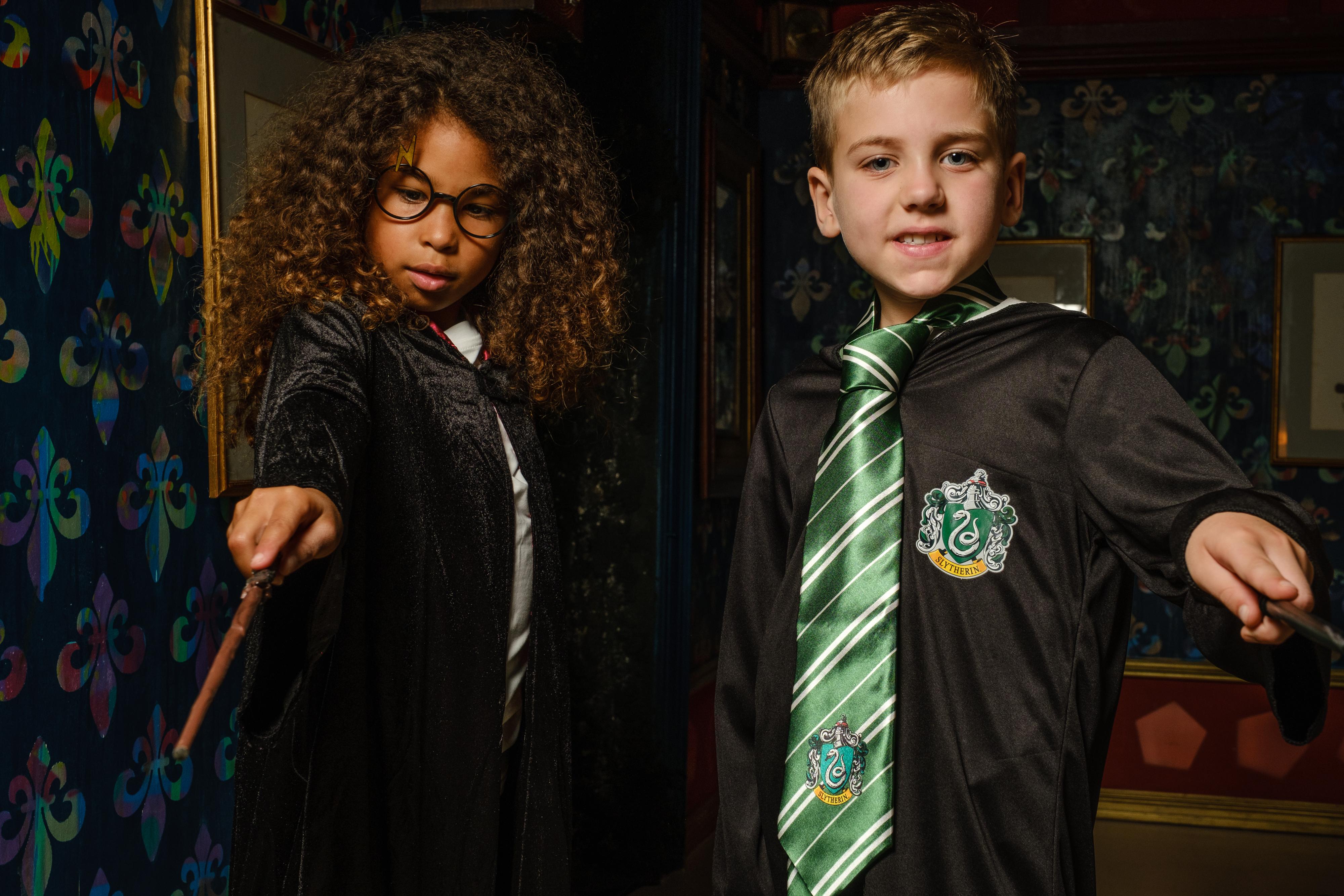 883574 Harry Potter 301266 Slytherin-3