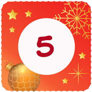 Calendrier de l'avent Case 5