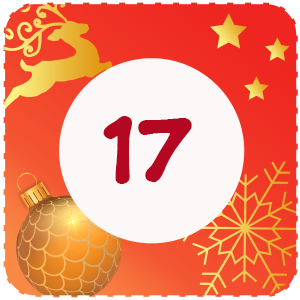 Calendrier de l'avent Case 17