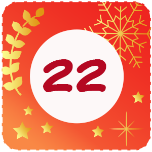 Calendrier de l'avent Case 22