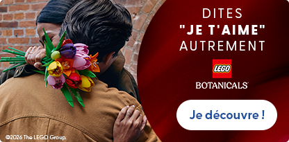 BANNIERE LEGO SAINT VALENTIN