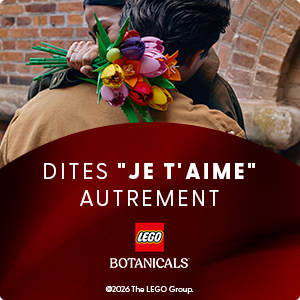 BANNIERE LEGO ST VALENTIN