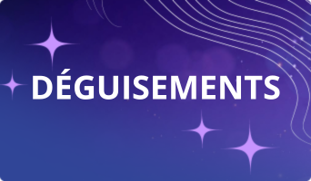 BANNIERE KPOP DEMON HUNTERS - DEGUISEMENTS