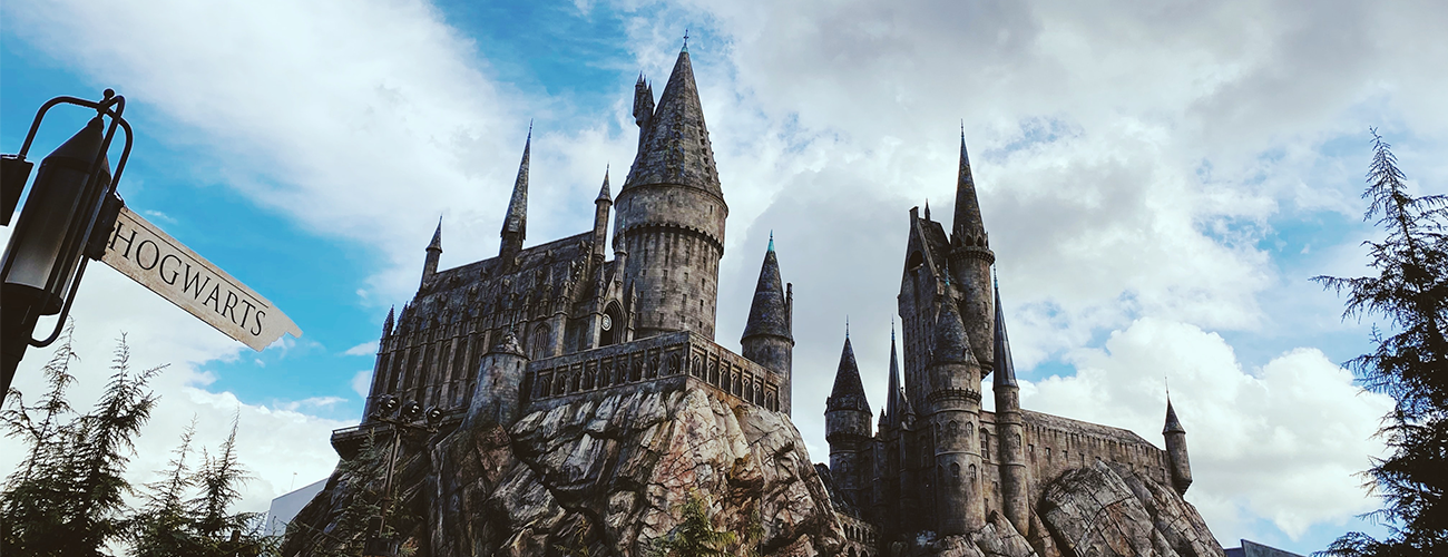 Perruque Enfant - Harry Potter - Jour de Fête - Films et Séries
