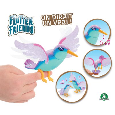 Flutter Friends : Colibri interactif