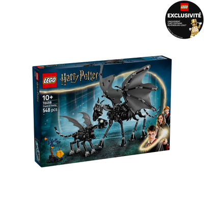 La famille de Sombrals LEGO Harry Potter 76458