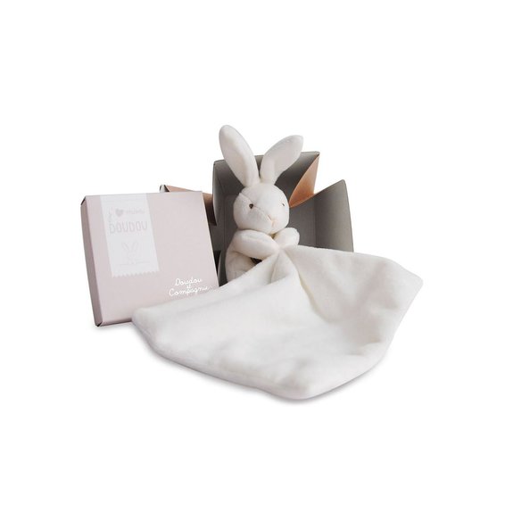 Lapin Mouchoir boîte fleur