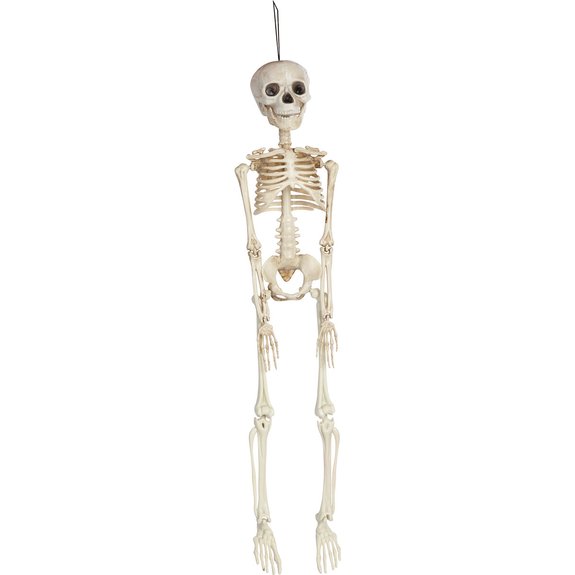 Squelette articulé 45 cm
