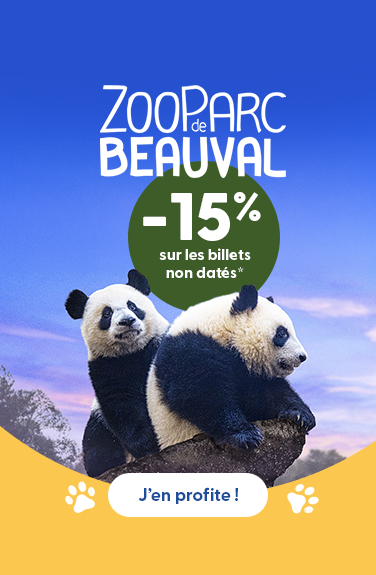 BANNIERE CAT - ZOO DE BEAUVAL