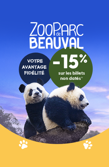 BANNIERE BEAUVAL