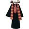 Déguisement Harry Potter + accessoires