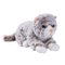 Peluche chaton 16 cm