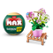 Garden plantes en pot - fleurs à construire MAX