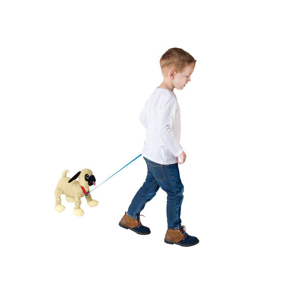 toufous chien