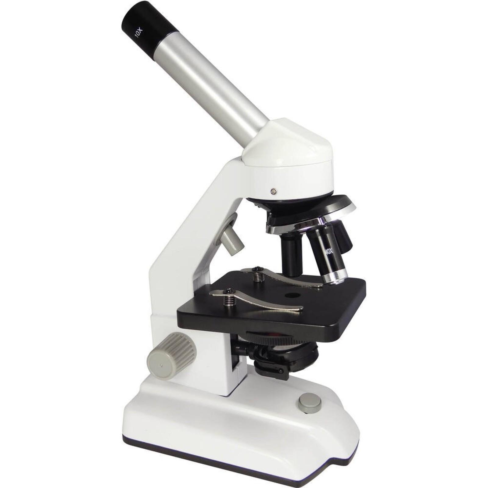 Lot 50 Lames Microscope Préparées ULAB UHP1050 – Biologie Éducation Enfants Dès 8 Ans, Coffret Bois