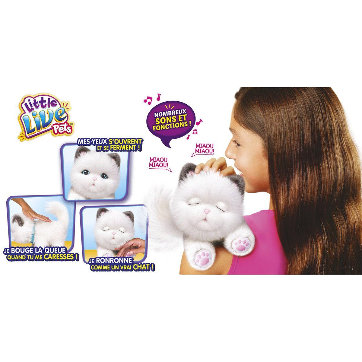 Mon chat Cuddles Little Live Pets - Peluches électroniques interactives -  La Grande Récré