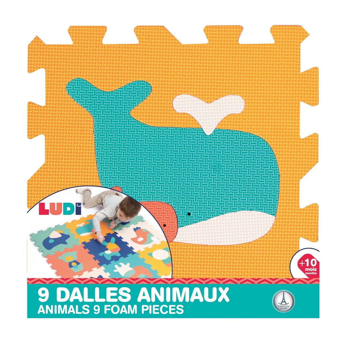 Explorez le monde des bébés animaux - Puzzle de 12 pièces pour enfants