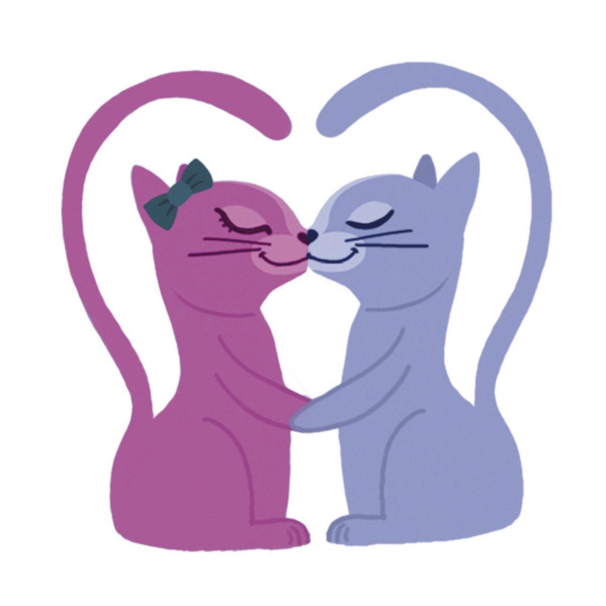 Stick Story Chiens Et Chats Jeux De Société Et Puzzles