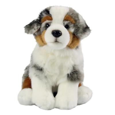 Berger australien 27 cm