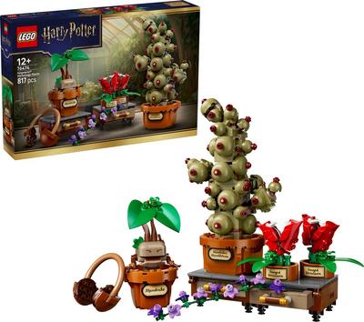 Les Plantes Du Cours de Botanique de Poudlard Lego Harry Potter 76474_La Grande Récrée_1