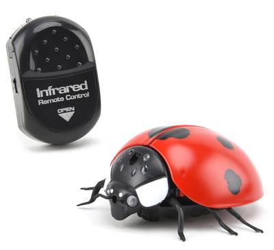 Coccinelle radiocommandée_La Grande Récrée_1
