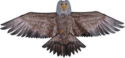 Cerf Volant Aigle_La Grande Récrée_1