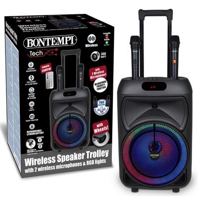 Enceinte 300 watts sans fil