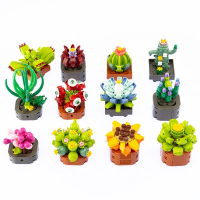 Fleurs exotiques à construire