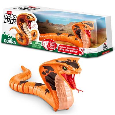 4894680036437-919637-1