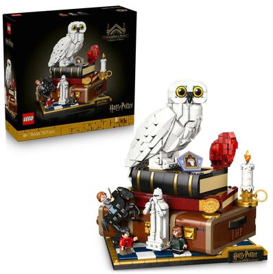L’école des sorciers – Édition collector LEGO Harry Potter™ 76466_La Grande Récrée_1