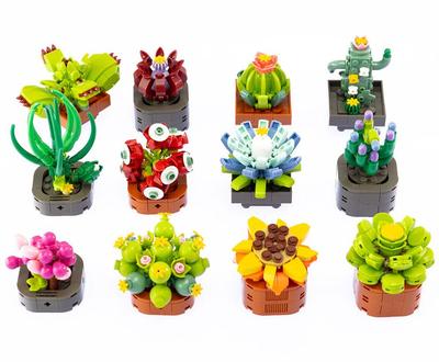 Fleurs exotiques à construire_La Grande Récrée_1