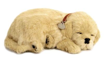 Peluche Perfect Petzz Golden Retriever_La Grande Récrée_1