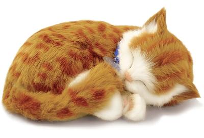Peluche Perfect Petzz Chat Tabby Orange_La Grande Récrée_1