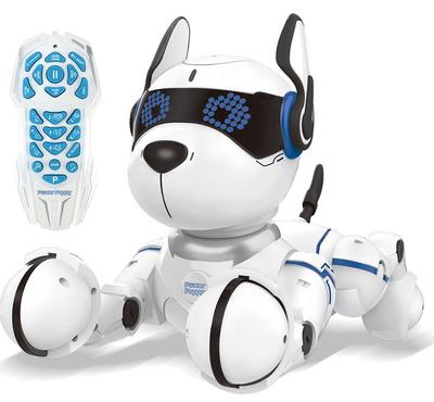 Power Puppy - Mon chien robot savant programmable_La Grande Récrée_1