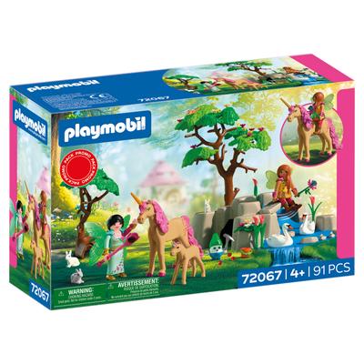 Journée avec les fées Playmobil 72067