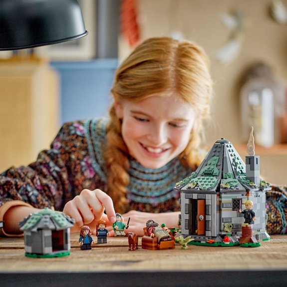 La cabane de Hagrid : une visite inattendue LEGO® Harry Potter™ 76428