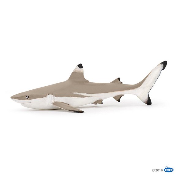 Figurine Requin à pointes noires