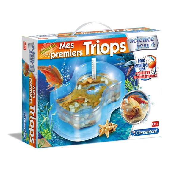Mes premiers triops