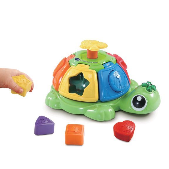 Ma tortue tourni-formes
