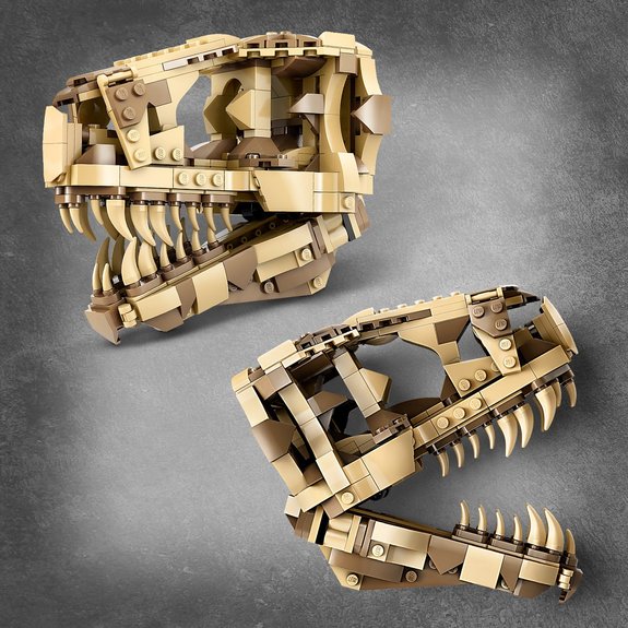 Les fossiles de dinosaures : le crâne du TRex Lego Jurassic World 76964