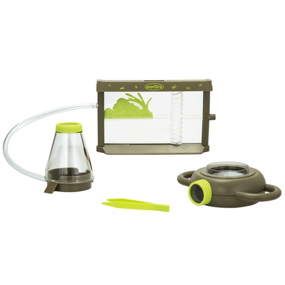 A la découverte des insectes