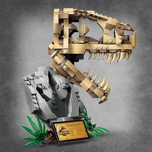 Les fossiles de dinosaures : le crâne du TRex Lego Jurassic World 76964