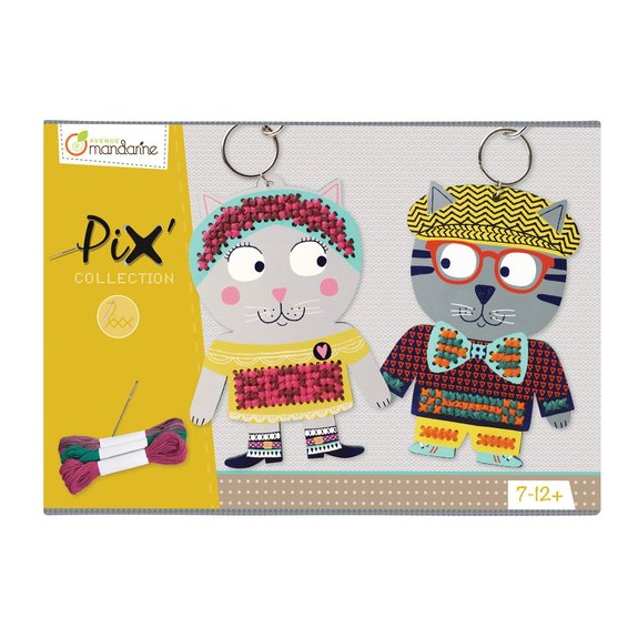 Boîte créative, Pix