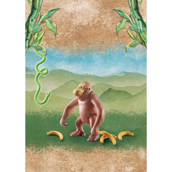 Orang-outan