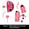 Coffret secret Draculaura - Monster High Saison 5