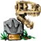 Les fossiles de dinosaures : le crâne du TRex Lego Jurassic World 76964