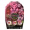 Coffret secret Draculaura - Monster High Saison 5
